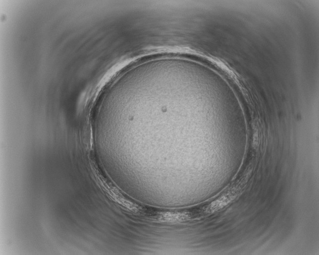 X0000060241271200510311512