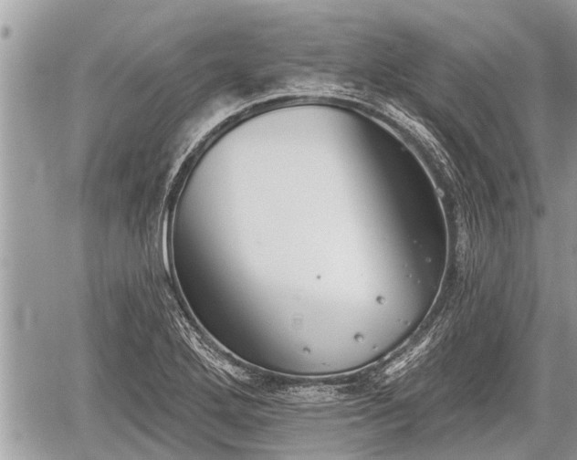 X0000060241272200510311512