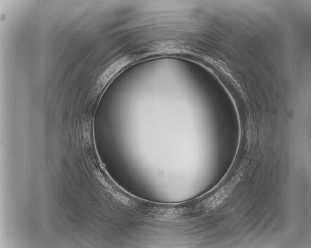 X0000060241273200510311512