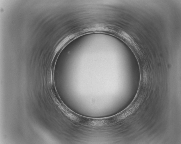 X0000060241274200510311512