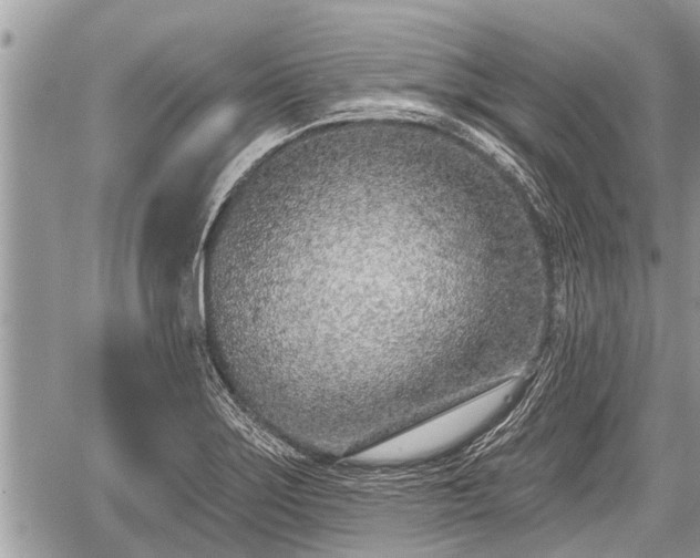 X0000060241275200510311512