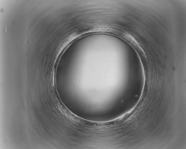 X0000060241276200510311512