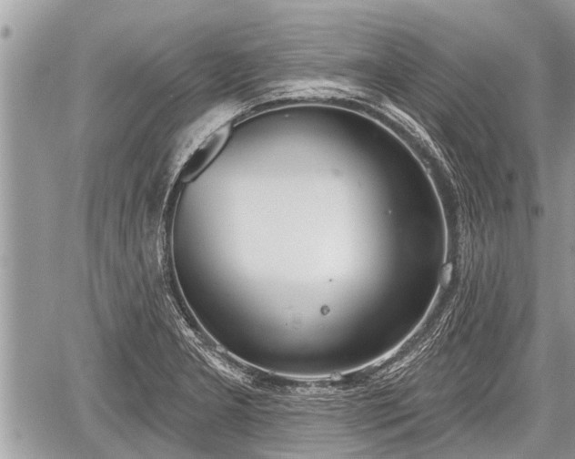 X0000060241277200510311512