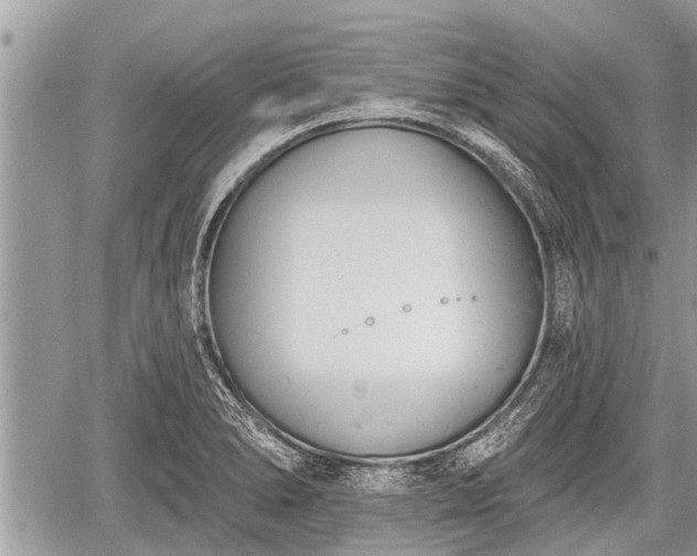 X0000060241278200510311512