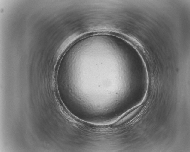 X0000060241279200510311512