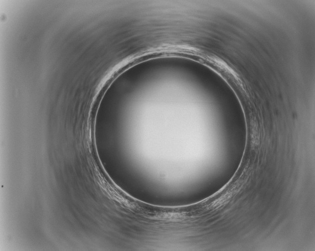 X0000060241280200510311512