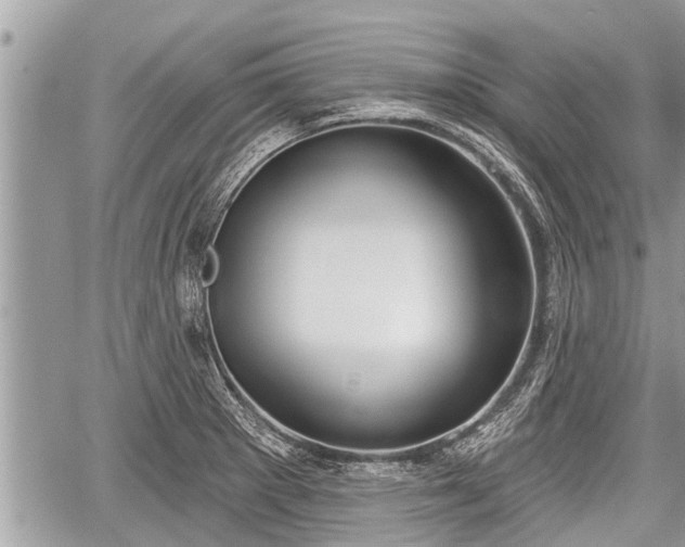 X0000060241281200510311512