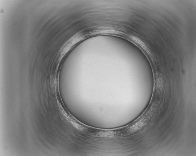 X0000060241282200510311512