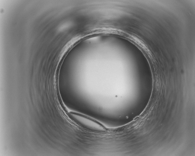 X0000060241283200510311512