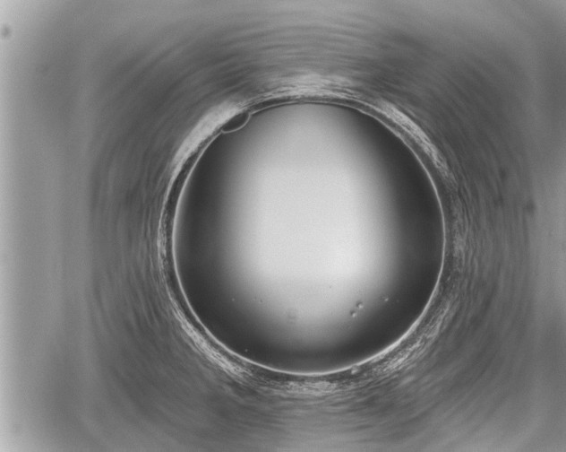 X0000060241285200510311512