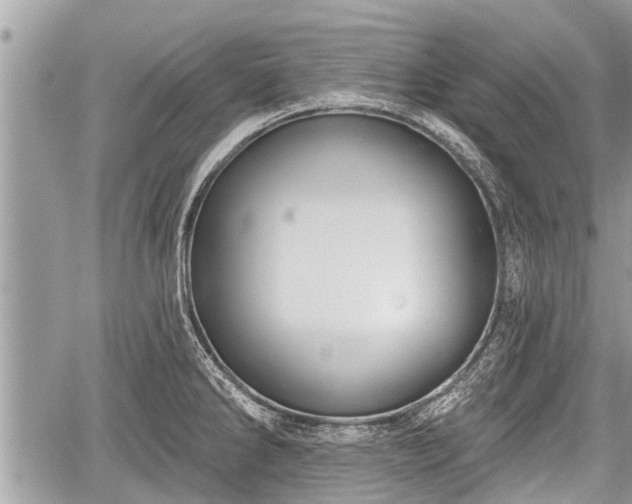 X0000060241286200510311512