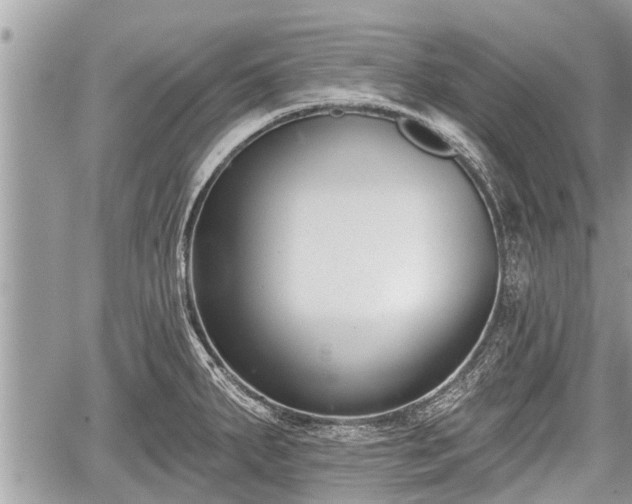 X0000060241287200510311512