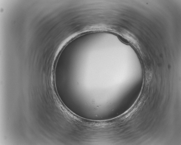 X0000060241288200510311512