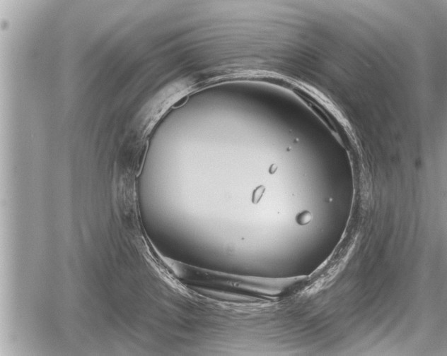 X0000060241289200510311512