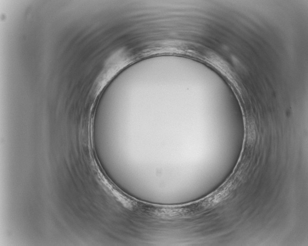 X0000060241290200510311512