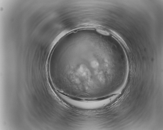 X0000060241291200510311512