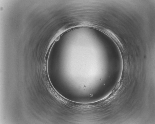 X0000060241292200510311512