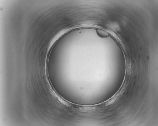 X0000060241294200510311512