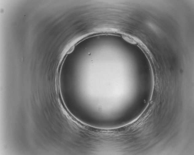 X0000060241295200510311512