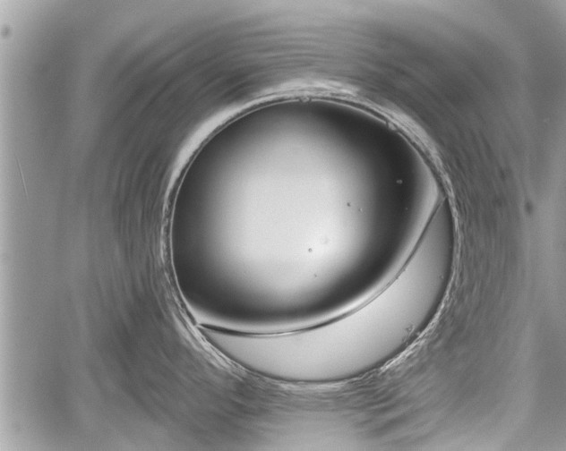 X0000060241296200510311512