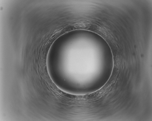 X0000060241297200510311511