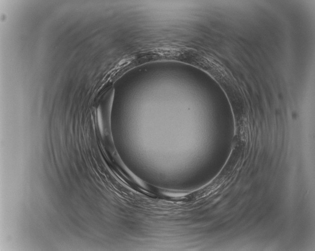 X0000060241298200510311511