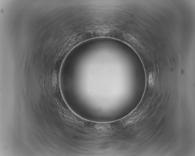 X0000060241299200510311511