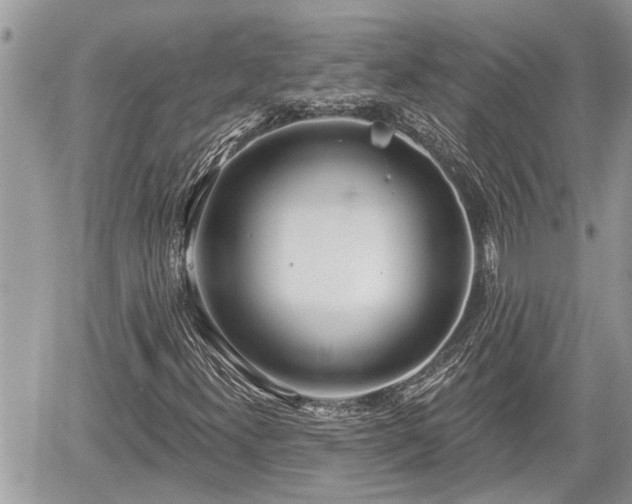 X0000060241300200510311511