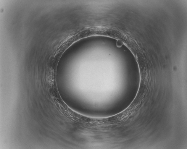 X0000060241301200510311511