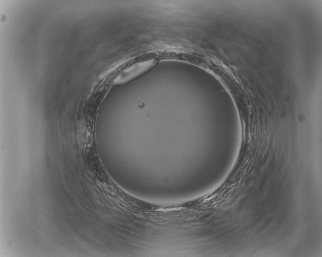 X0000060241303200510311511