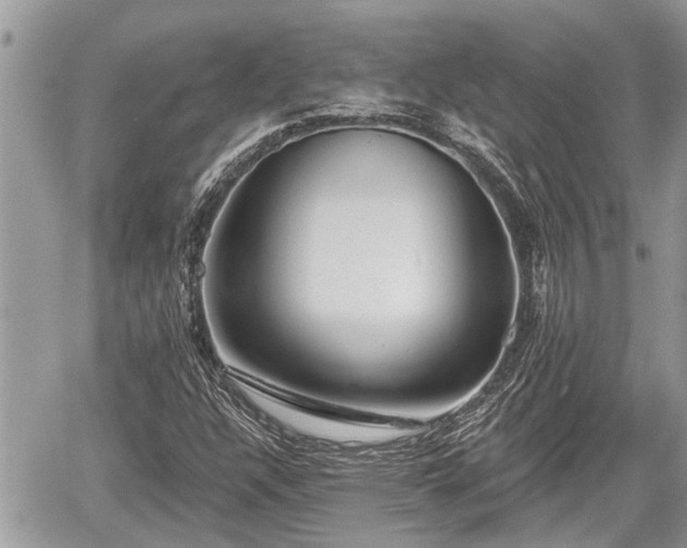 X0000060241304200510311511