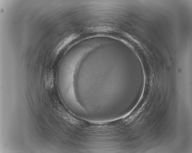 X0000060241306200510311511