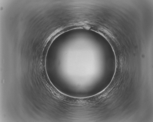 X0000060241308200510311511