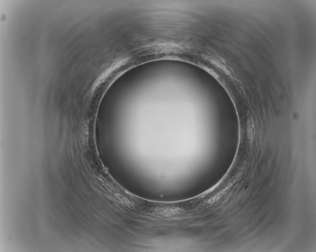 X0000060241309200510311511