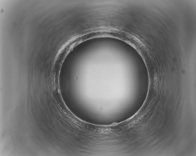 X0000060241310200510311511