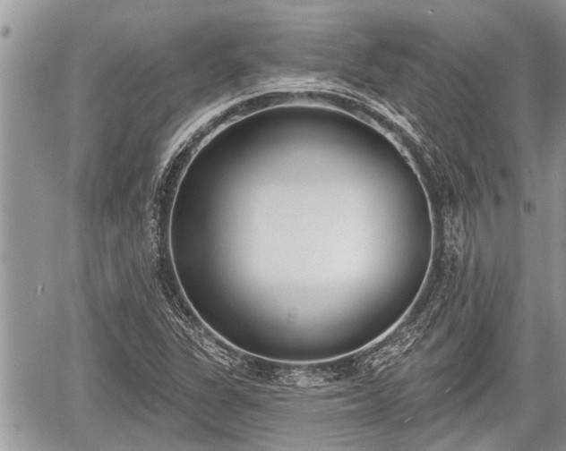 X0000060241311200510311511