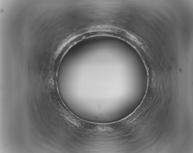 X0000060241312200510311511