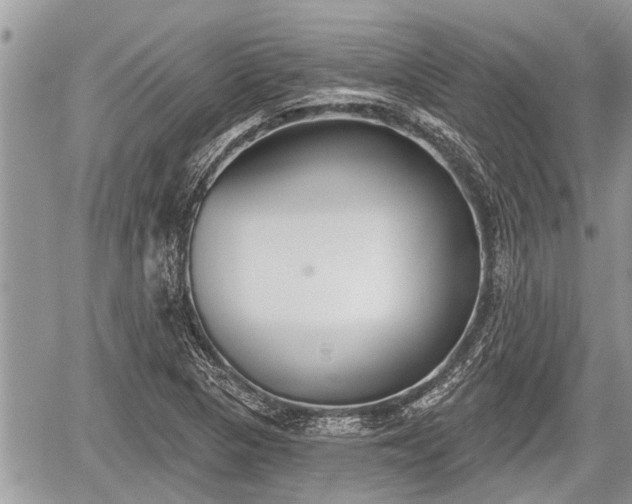 X0000060241313200510311512