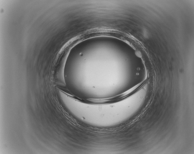 X0000060241314200510311512