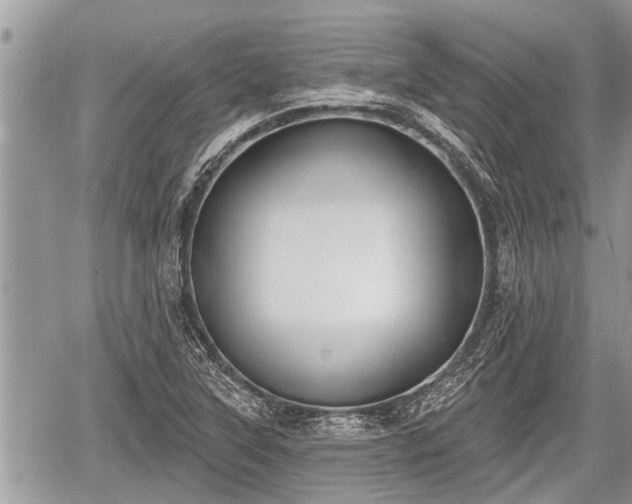 X0000060241315200510311512