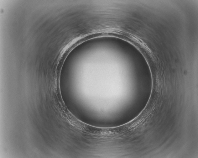 X0000060241316200510311512