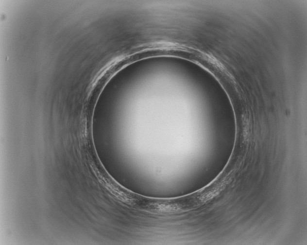 X0000060241318200510311512