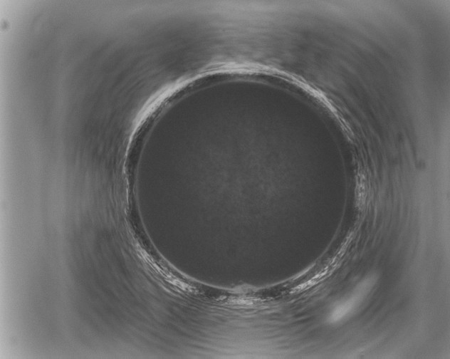 X0000060241319200510311512