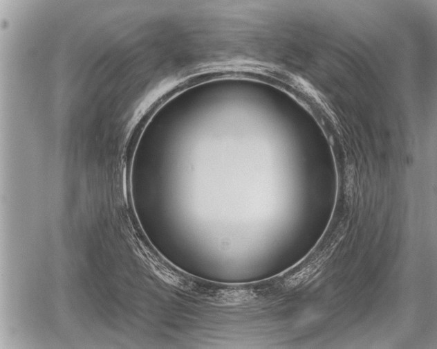 X0000060241320200510311512