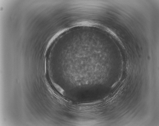 X0000060241323200510311512