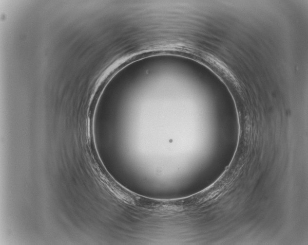 X0000060241324200510311512