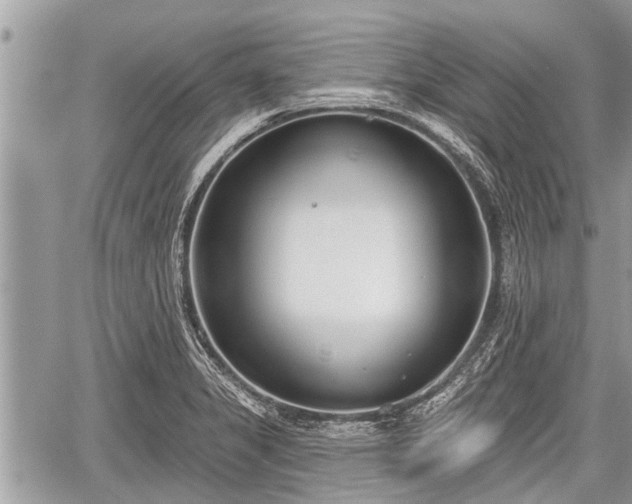 X0000060241325200510311512