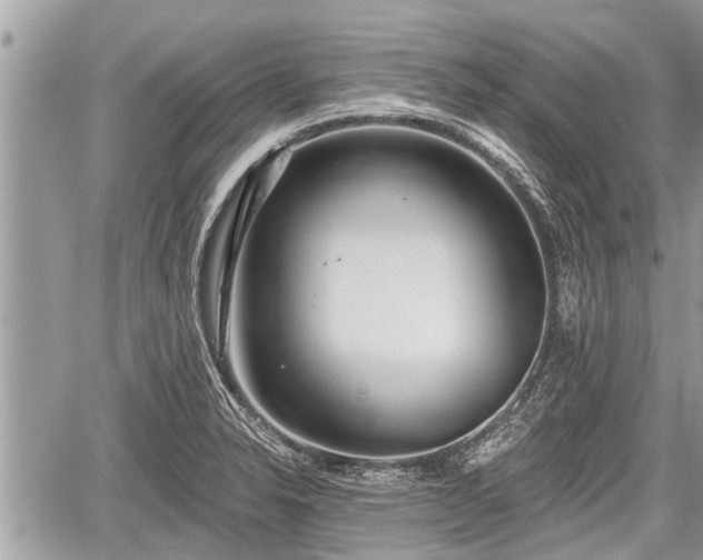 X0000060241326200510311512