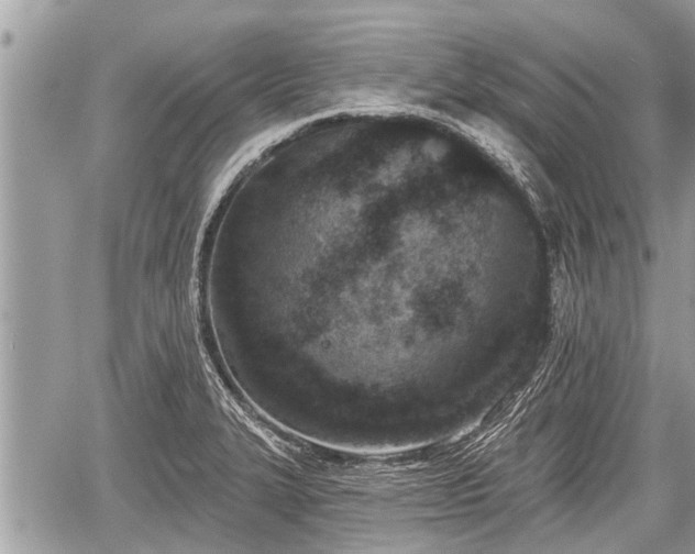 X0000060241327200510311512