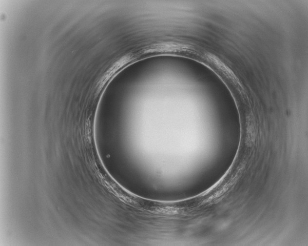 X0000060241329200510311512